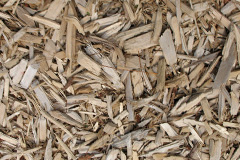 biomass boilers Bargoed Or Bargod